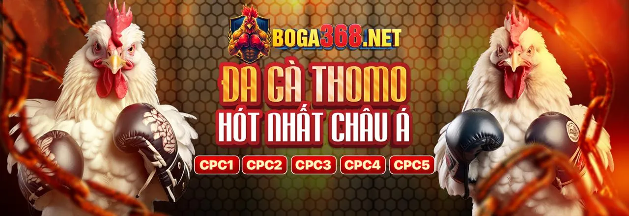 Khuyến mãi độc quyền sòng bạc trực tuyến 3bet chính thức