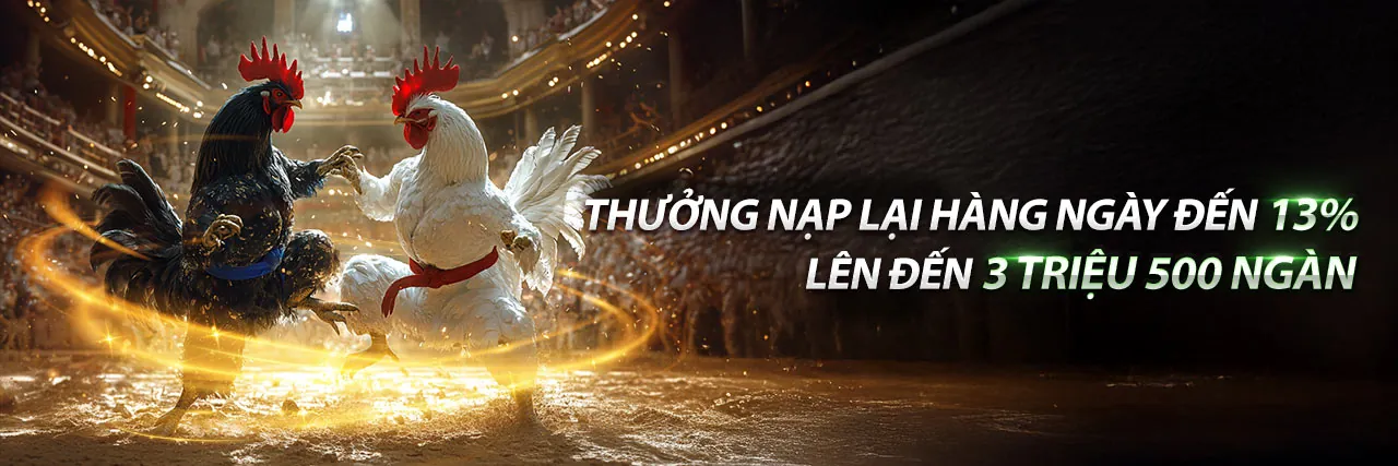 Trải nghiệm cá cược thể thao đỉnh cao tại 3bet chính thức