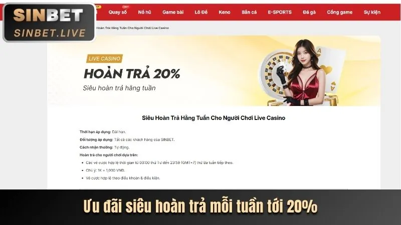 Vận động viên tennis chuẩn bị giao bóng tại 3bet chính thức